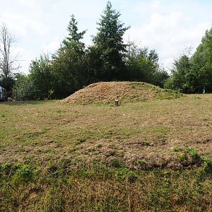 Sheep pasture - Site of future big cat exhibits