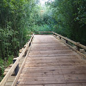 Bridge towards new bird-of-prey area