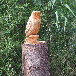 Wood carving of an owl