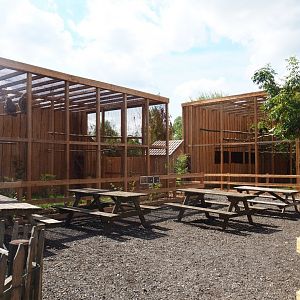 View of new bird-of-prey area