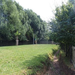 Sandhill crane and reindeer yard