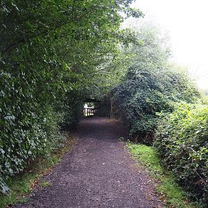 Naturalistic pathway