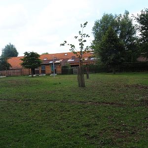 Zebra - Blackbuck - Crowned crane - Guineafowl paddock
