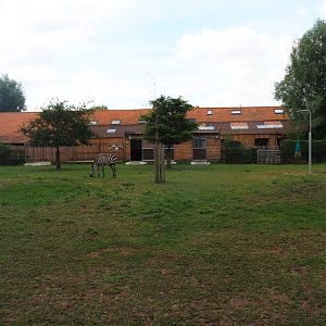 Zebra - Blackbuck - Crowned crane - Guineafowl paddock
