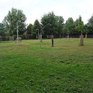 Zebra - Blackbuck - Crowned crane - Guineafowl paddock