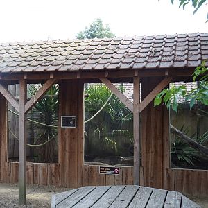 European gent exhibit and viewing area