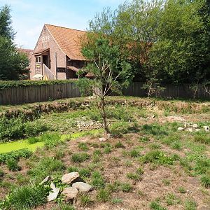 Asian small-clawed otter exhibit