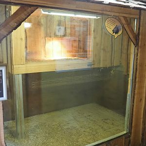 Meerkat - Crested porcupine indoor housing