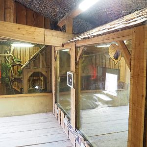 Small mammal barn - Porcupine and Herpestidae indoor housing
