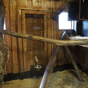 Raccoon indoor housing