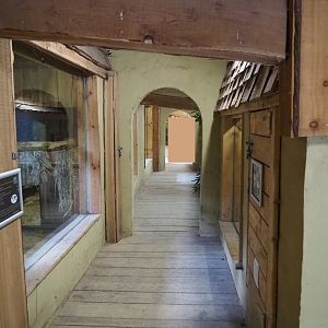 Viewing inside the small mammal barn