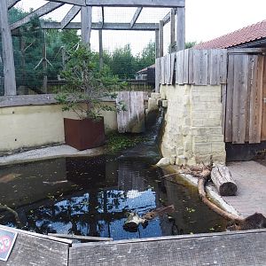 Coypu/Nutria exhibit