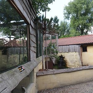 Raccoon cage viewing window and coypu exhibit