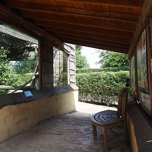 Raccoon viewing area