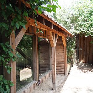 Binturong viewing areas