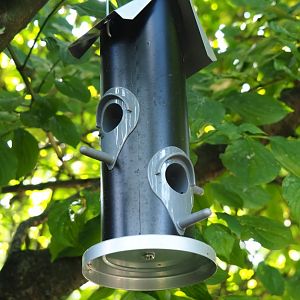 Bird feeder