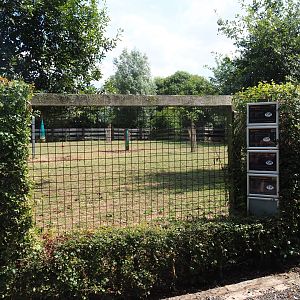 Hoofstock paddock viewing area