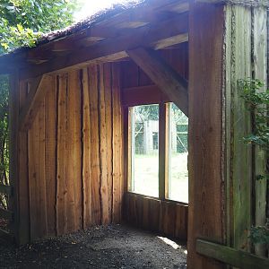 Eurasian brown bear viewing area