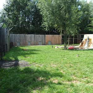 Eurasian brown bear exhibit