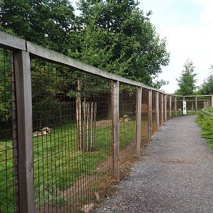 Emu - Red-necked wallaby yard