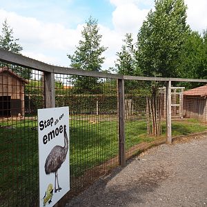 Emu - Red-necked wallaby yard