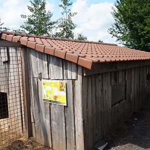 Red-necked wallaby barn