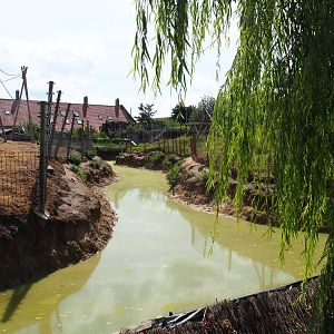 Capybara - Bar-headed goose moat in between the primate islands