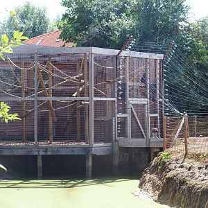 Lar gibbon cage and island access