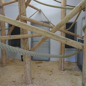 Lar gibbon indoor housing