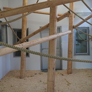Lar gibbon indoor housing