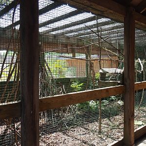 Eastern grey squirrel (Sciurus carolinensis) cage