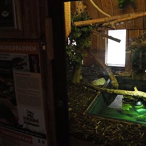 Cumberland slider and boa constrictor terrarium room