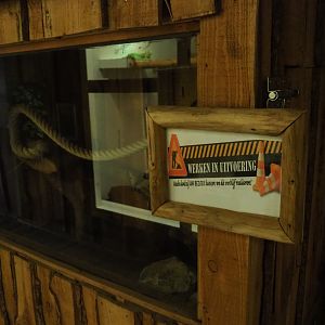 Terrarium under construction