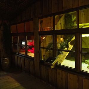 Bearded dragon terrariums