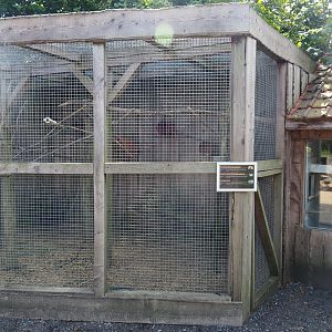 Small parrots aviary and bird barn