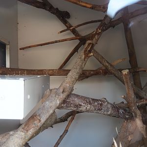 Small parrots indoor housing