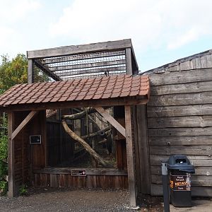 Lion-tailed macaque viewing area