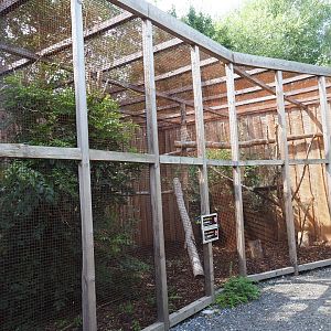 Red-and-green and blue-and-yellow macaw aviary