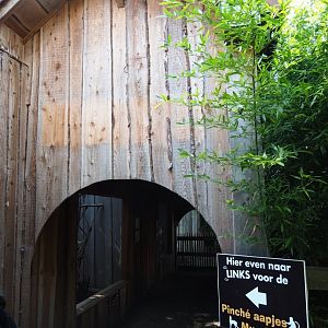 Viewing corridor cotton-top tamarins/Brown capuchins/Muntjacs
