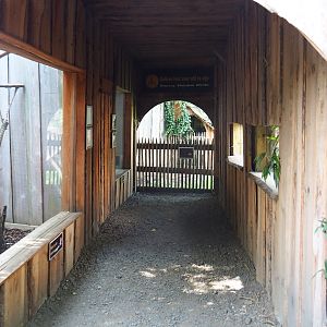 Viewing corridor cotton-top tamarins/Brown capuchins/Muntjacs