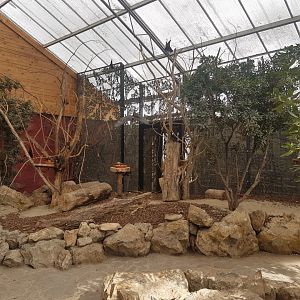 Walk-through bat and squirrel-enclosure