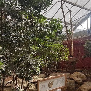 Walk-through bat and squirrel- enclosure