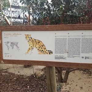 Sign Clouded leopard