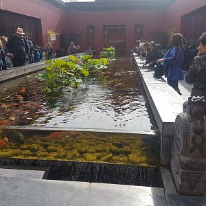 Chinese garden