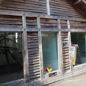 Brown capuchin house