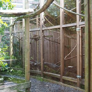 Brown lemur cage