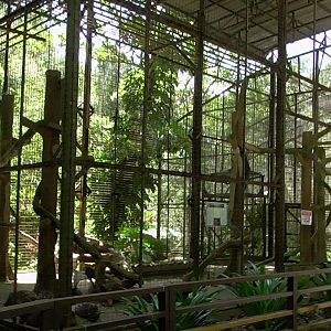 Enclosures for Binturongs and Porcupines