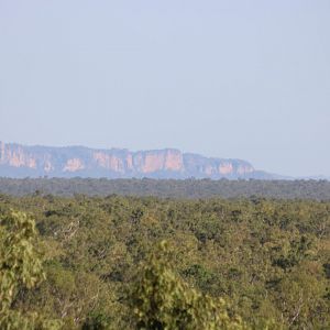 Forest and Escarpment - Kakadu