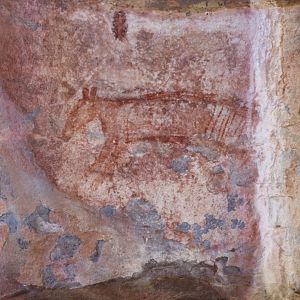 Rock Art of a Thylacine - Kakadu