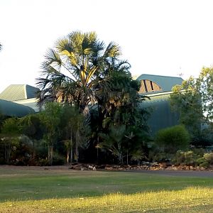 Crocodile Shaped Hotel in Jabiru